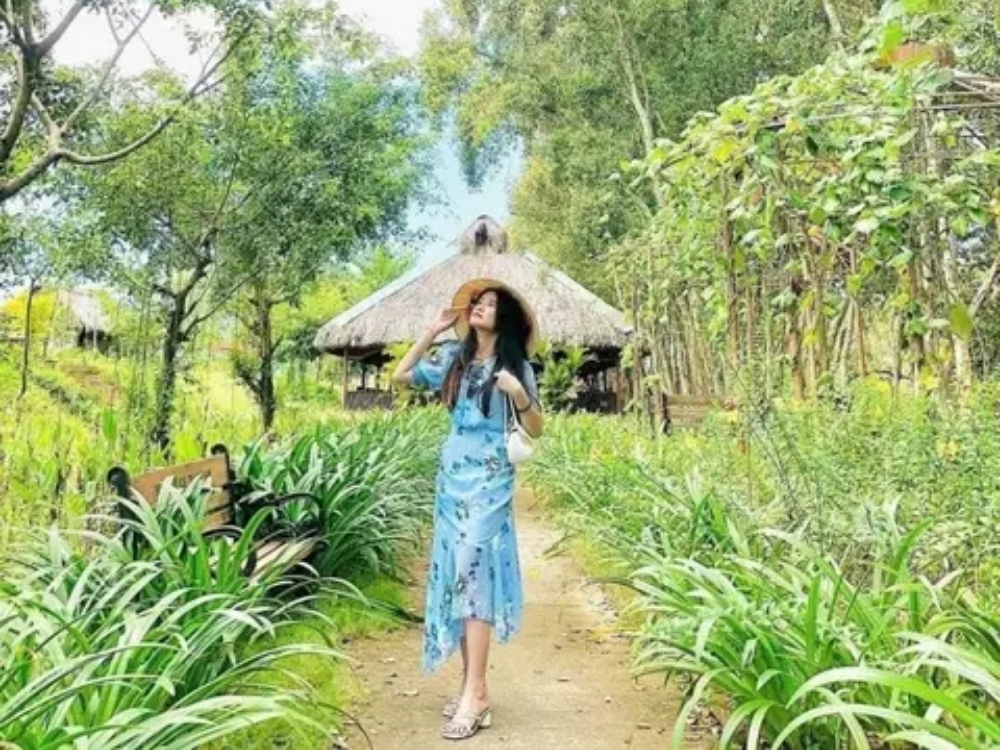 Thời điểm phù hợp để đến Vườn quốc gia Tràm Chim